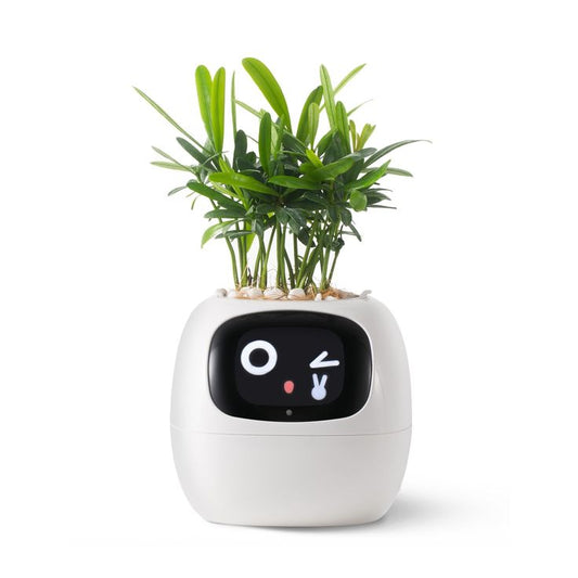 Smart Plant AI Tray